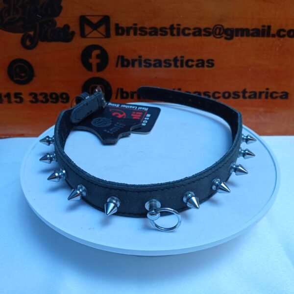 Collar para perro , Picos de metal, color negro
