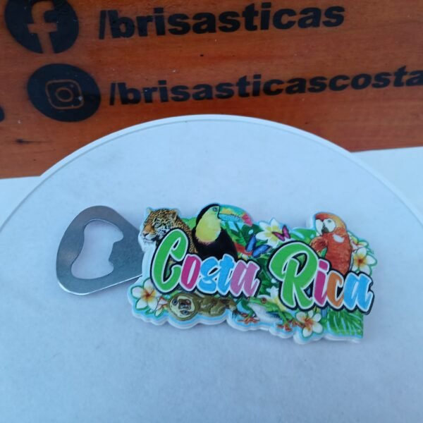 Iman souvenir Costa Rica  Tucanes