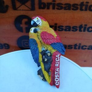 Iman de Lapas Souvenir Costa Rica